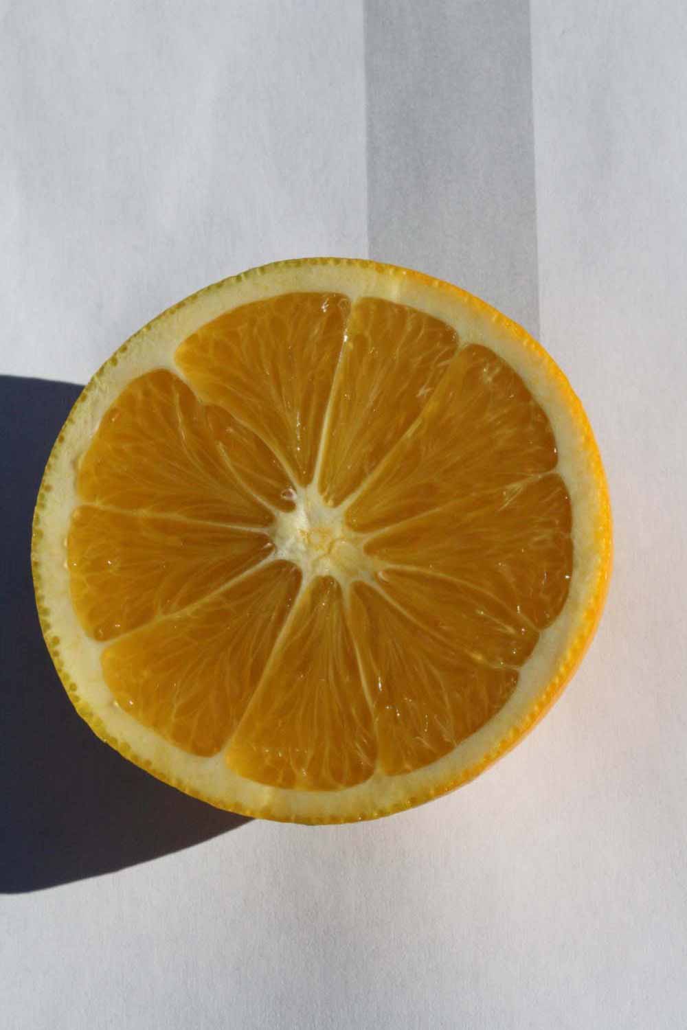            Fruit cross-section (Riverside, CA)   